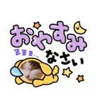 HANAtittiy2（個別スタンプ：27）