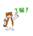 日常のハチワレ猫とキジ白ねこ（個別スタンプ：37）