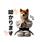 柔道しば犬（個別スタンプ：33）