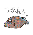 海に棲む生き物3（個別スタンプ：25）