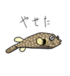 海に棲む生き物3（個別スタンプ：29）