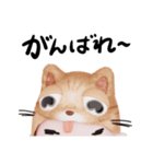 コスプレねこ①（個別スタンプ：21）