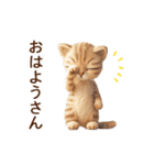 関西弁♡動くフェルト猫の家族連絡(茶トラ)（個別スタンプ：11）