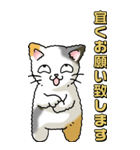 猫のスタンプ その13（個別スタンプ：7）