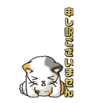 猫のスタンプ その13（個別スタンプ：15）