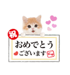 ず〜っと❤️お正月❤️かわいい猫たち（個別スタンプ：9）