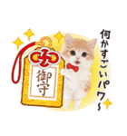 ず〜っと❤️お正月❤️かわいい猫たち（個別スタンプ：12）