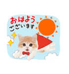 ず〜っと❤️お正月❤️かわいい猫たち（個別スタンプ：13）