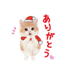 ず〜っと❤️お正月❤️かわいい猫たち（個別スタンプ：14）