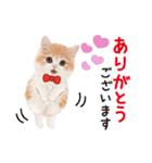 ず〜っと❤️お正月❤️かわいい猫たち（個別スタンプ：15）