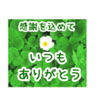 毎年使える大人のお正月 修正版（個別スタンプ：19）