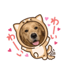 仲良しLALAとLUCA（個別スタンプ：11）