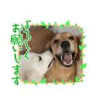 仲良しLALAとLUCA（個別スタンプ：14）