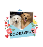 仲良しLALAとLUCA（個別スタンプ：29）