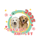仲良しLALAとLUCA（個別スタンプ：32）