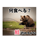 7変化クマさん！多彩な表情で楽しむ日常（個別スタンプ：1）