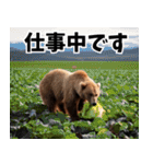 7変化クマさん！多彩な表情で楽しむ日常（個別スタンプ：3）