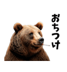 7変化クマさん！多彩な表情で楽しむ日常（個別スタンプ：15）