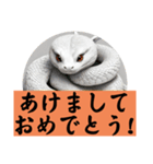 乙巳(きのとみ)！蛇年！(新年お正月挨拶集)（個別スタンプ：15）