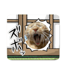 さぶちゃん♡とちんぺい♡（個別スタンプ：4）