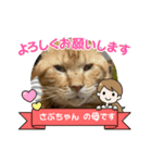 さぶちゃん♡とちんぺい♡（個別スタンプ：5）