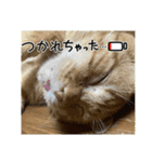 さぶちゃん♡とちんぺい♡（個別スタンプ：6）