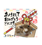 さぶちゃん♡とちんぺい♡（個別スタンプ：8）
