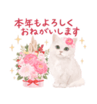 冬の花♡ねことうさぎのスタンプ（個別スタンプ：19）