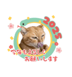 ちゃーくんからママへ2（個別スタンプ：1）