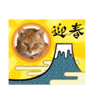 ちゃーくんからママへ2（個別スタンプ：4）