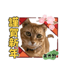 ちゃーくんからママへ2（個別スタンプ：5）