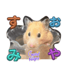 はーぼうと愉快な仲間たち（個別スタンプ：6）