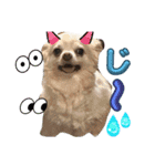 はーぼうと愉快な仲間たち（個別スタンプ：8）