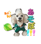 はーぼうと愉快な仲間たち（個別スタンプ：9）