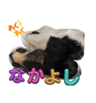 はーぼうと愉快な仲間たち（個別スタンプ：12）