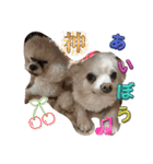 はーぼうと愉快な仲間たち（個別スタンプ：16）
