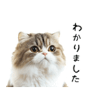 ITねこの仕事術～かわいいスタンプ集～（個別スタンプ：20）