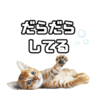 お願いする猫。（個別スタンプ：14）