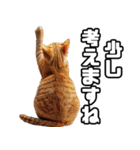 お願いする猫。（個別スタンプ：24）