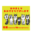 今年の年賀状もLINEスタンプで！ねこ（個別スタンプ：11）