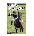 競走馬と騎手1 一年中使える＆年賀対応（個別スタンプ：18）