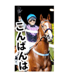 競走馬と騎手1 一年中使える＆年賀対応（個別スタンプ：23）