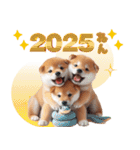 【2025年】新年あけおめ♡柴犬（敬語）（個別スタンプ：2）