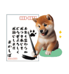 【2025年】新年あけおめ♡柴犬（敬語）（個別スタンプ：6）