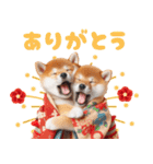 【2025年】新年あけおめ♡柴犬（敬語）（個別スタンプ：16）