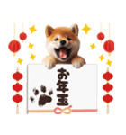 【2025年】新年あけおめ♡柴犬（敬語）（個別スタンプ：19）