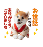 【2025年】新年あけおめ♡柴犬（敬語）（個別スタンプ：21）