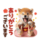 【2025年】新年あけおめ♡柴犬（敬語）（個別スタンプ：23）