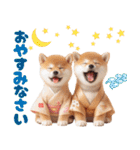 【2025年】新年あけおめ♡柴犬（敬語）（個別スタンプ：27）