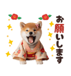 【2025年】新年あけおめ♡柴犬（敬語）（個別スタンプ：28）